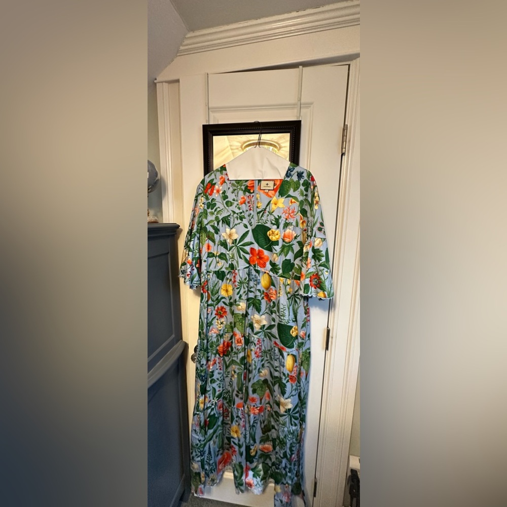 Beautiful Tuckernuck Ginger Maxi Dress.  XL